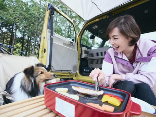 2025 Honda N-VAN e Is Our New Kei Van of the Week