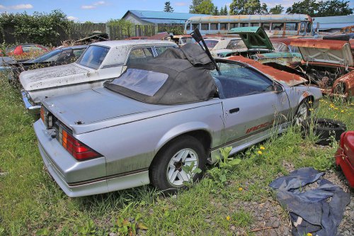 The Junkyard Gems of All American Classics, Vancouver, Washington