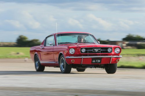 The cars that are also cults