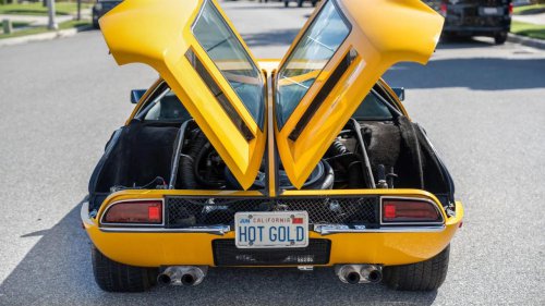 The Exotic Muscle of ’69