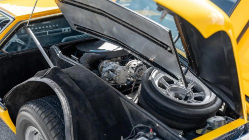 The Exotic Muscle of ’69