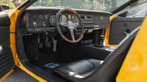 The Exotic Muscle of ’69