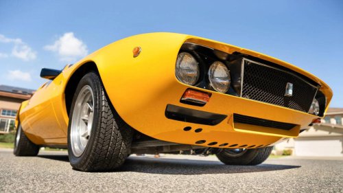 The Exotic Muscle of ’69