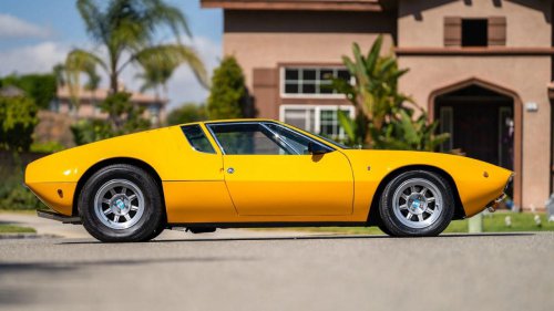 The Exotic Muscle of ’69