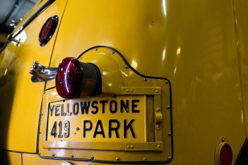 Look What We Found in the Mountains of Montana