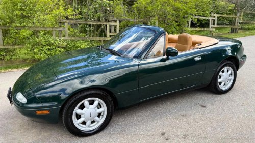 Affordable Classics Worth Owning