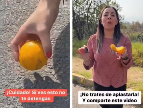 El nuevo truco de los delincuentes para robar coches en pocos minutos: así funciona el método del cubo de la basura