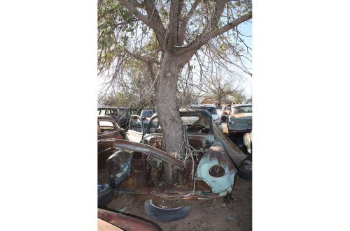 The Junkyard Discoveries of Roswell, New Mexico