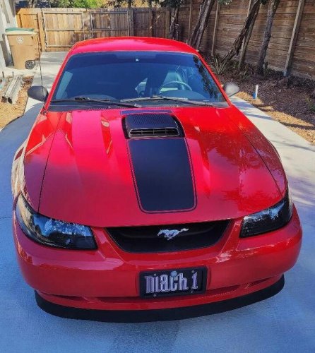 2003 Ford Mustang Mach 1 For Sale