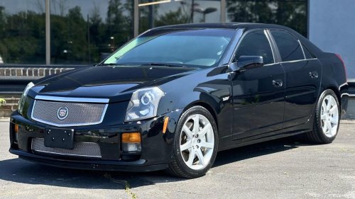 Born to roar: The cars that scream America