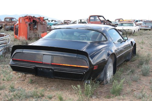 Junkyard Gems of Ernest Auto Wrecking, La Jara, Colorado