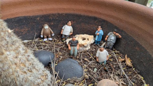 Suzuki Cultus Has a Rich History, Even in Colorado Car Graveyards