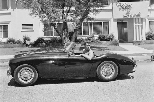 Classy stars with their classic cars