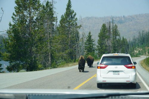 23 Folks Online List Driving Rules That Aren’t Written Down On Paper, Yet Everyone Still Should Know