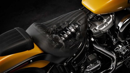 The Harley-Davidson that makes sense as your first big bike