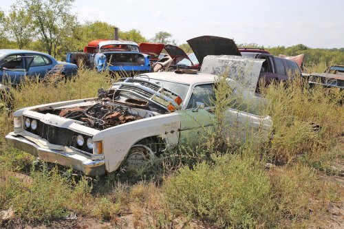 More Junkyard Discoveries of Windy Hill Auto Parts, New London, Minnesota