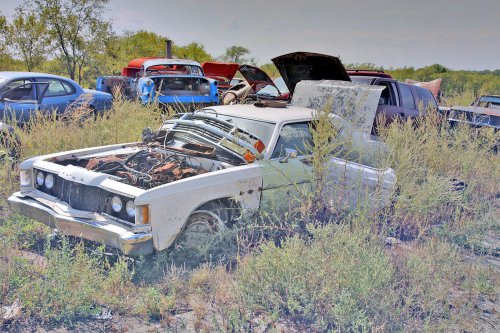 More Junkyard Discoveries of Windy Hill Auto Parts, New London, Minnesota