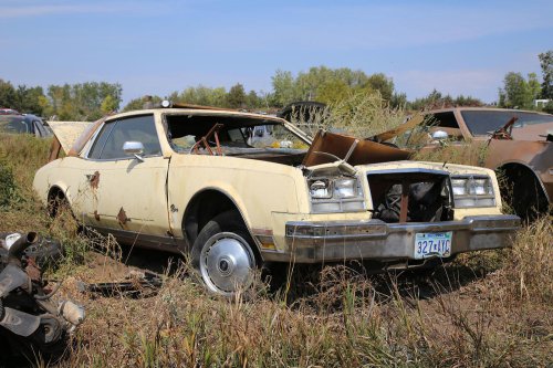 More Junkyard Discoveries of Windy Hill Auto Parts, New London, Minnesota