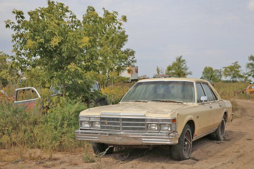 More Junkyard Discoveries of Windy Hill Auto Parts, New London, Minnesota