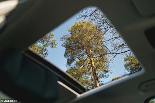 Is it the end of the road for convertibles in Britain? Sales have halved in the last 25 years