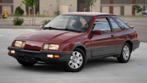 10 Weirdest Captive Imports You Can Buy In America