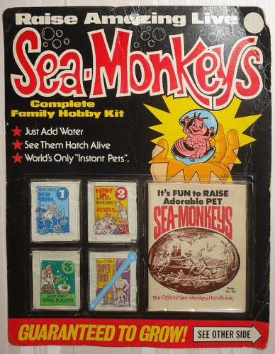 31 Childhood Snapshots That’ll Transport You Back in Time