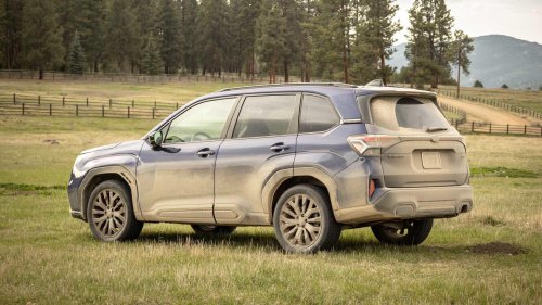 Slash your annual insurance costs by getting behind the wheel of a sensible Subaru