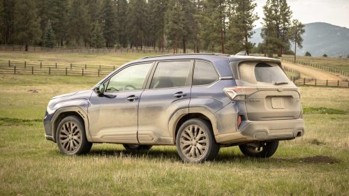 Slash your annual insurance costs by getting behind the wheel of a sensible Subaru