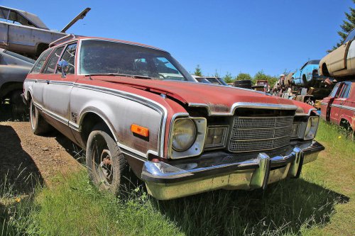 Mopar Magic: Junkyard Discoveries of Wildcat Auto Wrecking, Sandy, Oregon