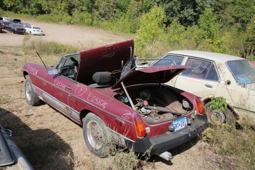 The Junkyard finds from French Lake Auto Parts, Annandale, Minnesota