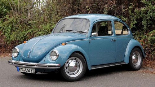 Animals On The Road: 10 Cars Named After Bugs &amp; 10 After Birds