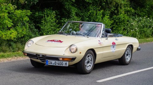 Animals On The Road: 10 Cars Named After Bugs &amp; 10 After Birds