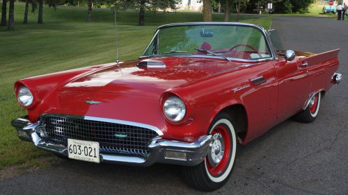 Animals On The Road: 10 Cars Named After Bugs &amp; 10 After Birds