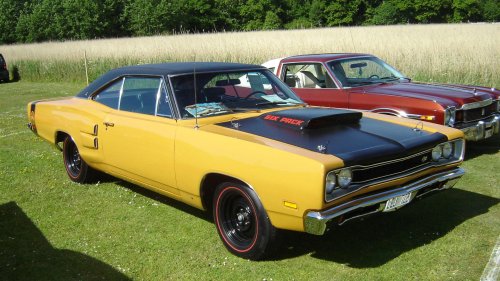 Animals On The Road: 10 Cars Named After Bugs & 10 After Birds