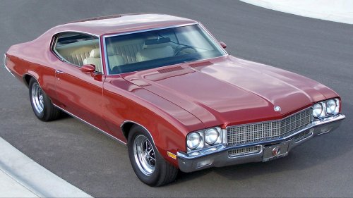 Animals On The Road: 10 Cars Named After Bugs &amp; 10 After Birds