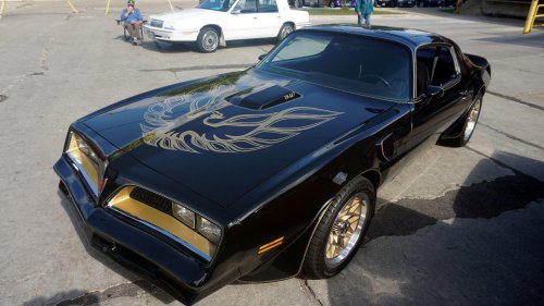 Animals On The Road: 10 Cars Named After Bugs &amp; 10 After Birds