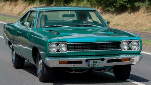 Animals On The Road: 10 Cars Named After Bugs &amp; 10 After Birds