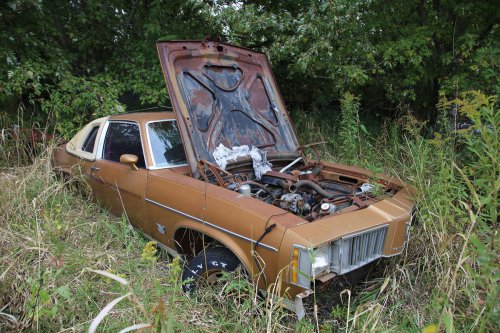 Tesoros encontrados en Ron's Auto Salvage en Allison, Iowa