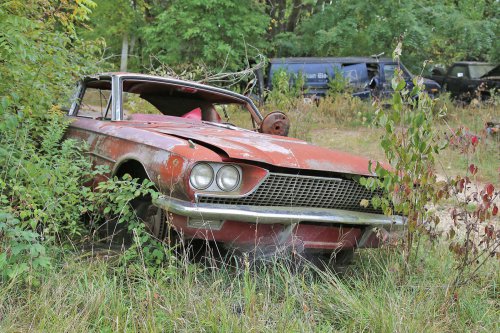 Tesoros encontrados en Ron's Auto Salvage en Allison, Iowa