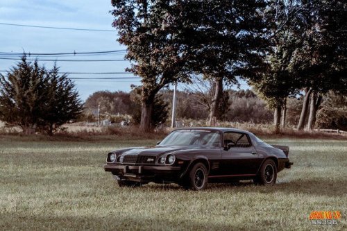 Muscle Cars That Were All Looks and No Power