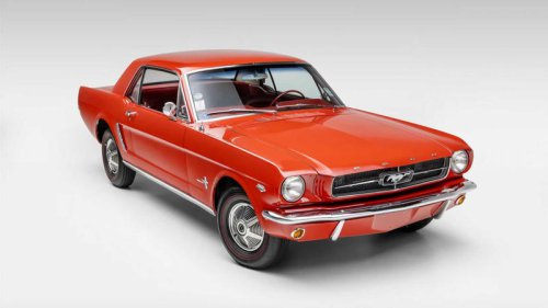 The American exotic that time completely forgot