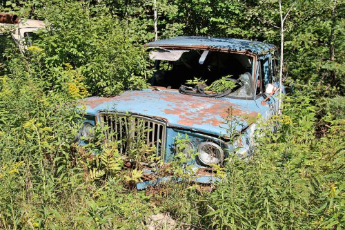 The Junkyard Gems of G&G Auto Salvage, Bruce, Wisconsin