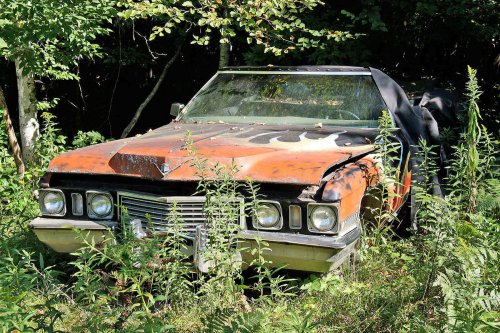 The Junkyard Gems of G&G Auto Salvage, Bruce, Wisconsin