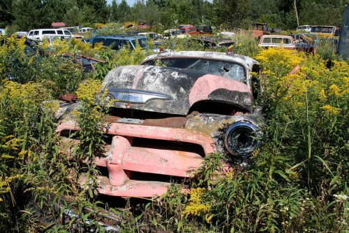 The Junkyard Gems of G&G Auto Salvage, Bruce, Wisconsin