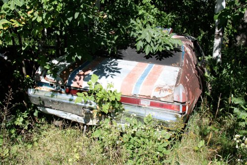 The Junkyard Gems of G&G Auto Salvage, Bruce, Wisconsin