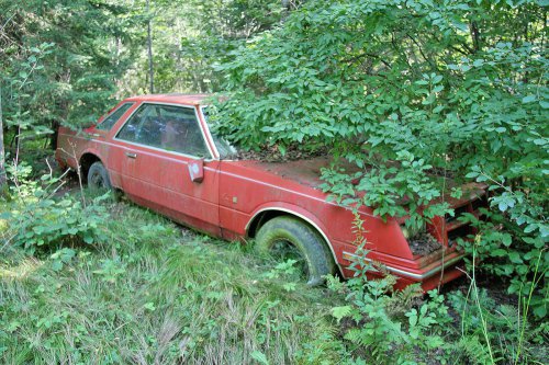 The Junkyard Gems of G&amp;G Auto Salvage, Bruce, Wisconsin