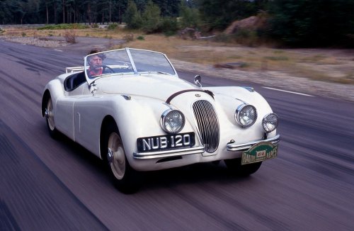 37 Amazing pictures of Brilliant Jaguars