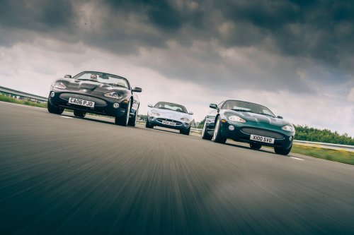 37 Amazing pictures of Brilliant Jaguars