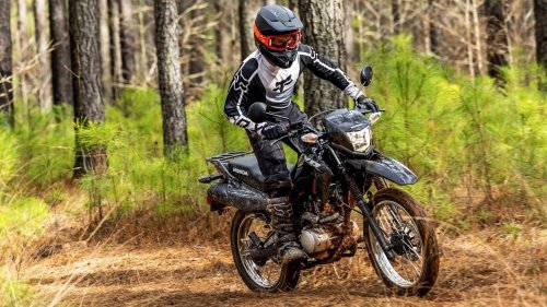 The beginner bike that balances ease, efficiency, and confidence