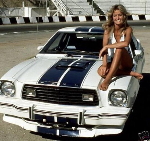 Muscle Cars, More 1970s Pics Of People Chilling With Muscle Cars
